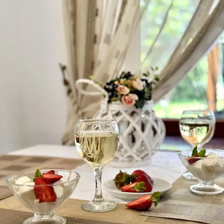 Hotel Alessia Skhidnytsia