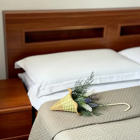 Alessia Hotel 3*