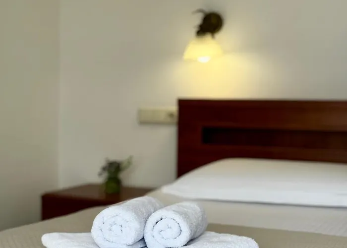 Alessia Otel 3*