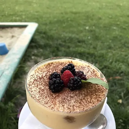 Hotel Alessia Skhidnytsia