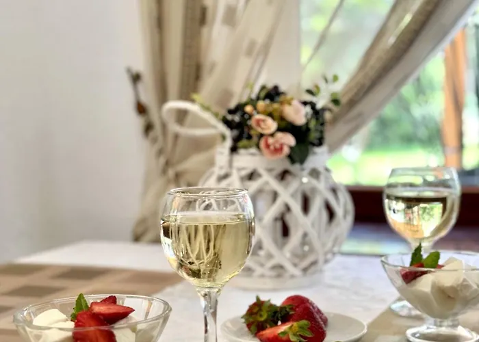Hotel Alessia Skhidnytsia